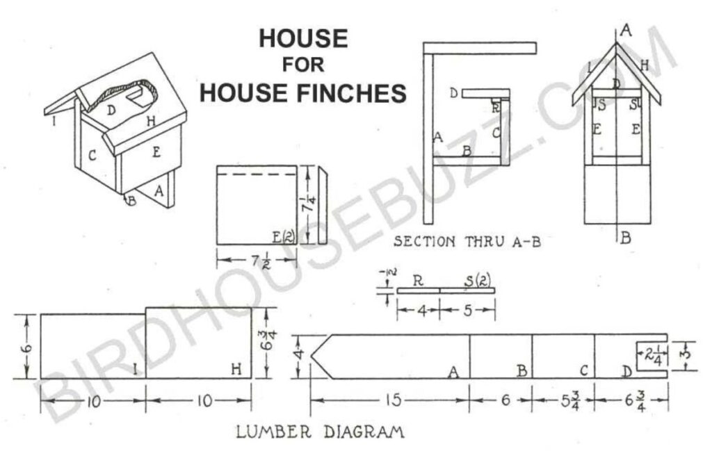 Finch Bird House: 11 Best Plans You Can DIY - Bird Nature