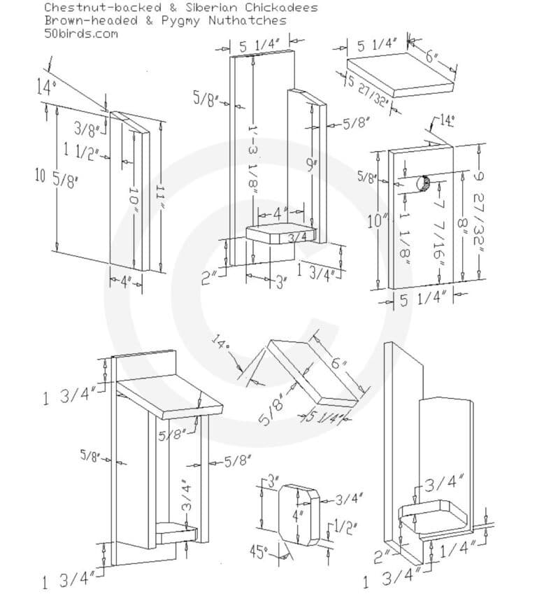 Finch Bird House: 11 Best Plans You Can DIY - Bird Nature